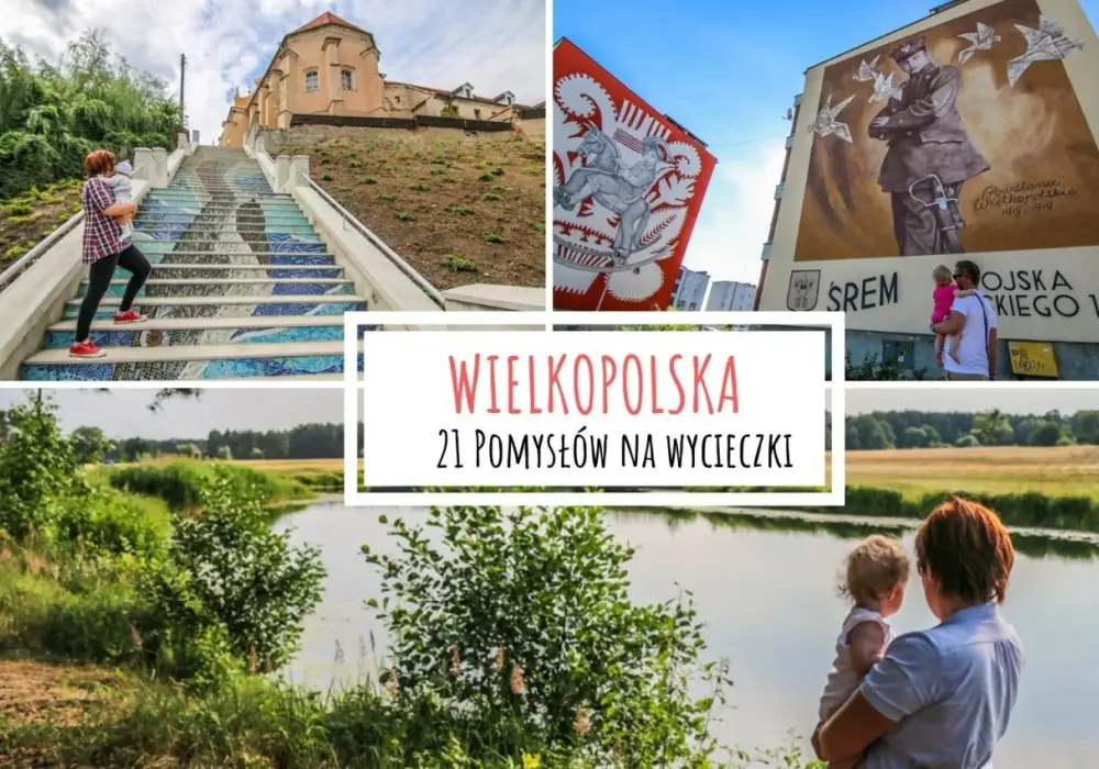 Najlepsze atrakcje dla dzieci w Wielkopolsce: 10 miejsc na wycieczkę
