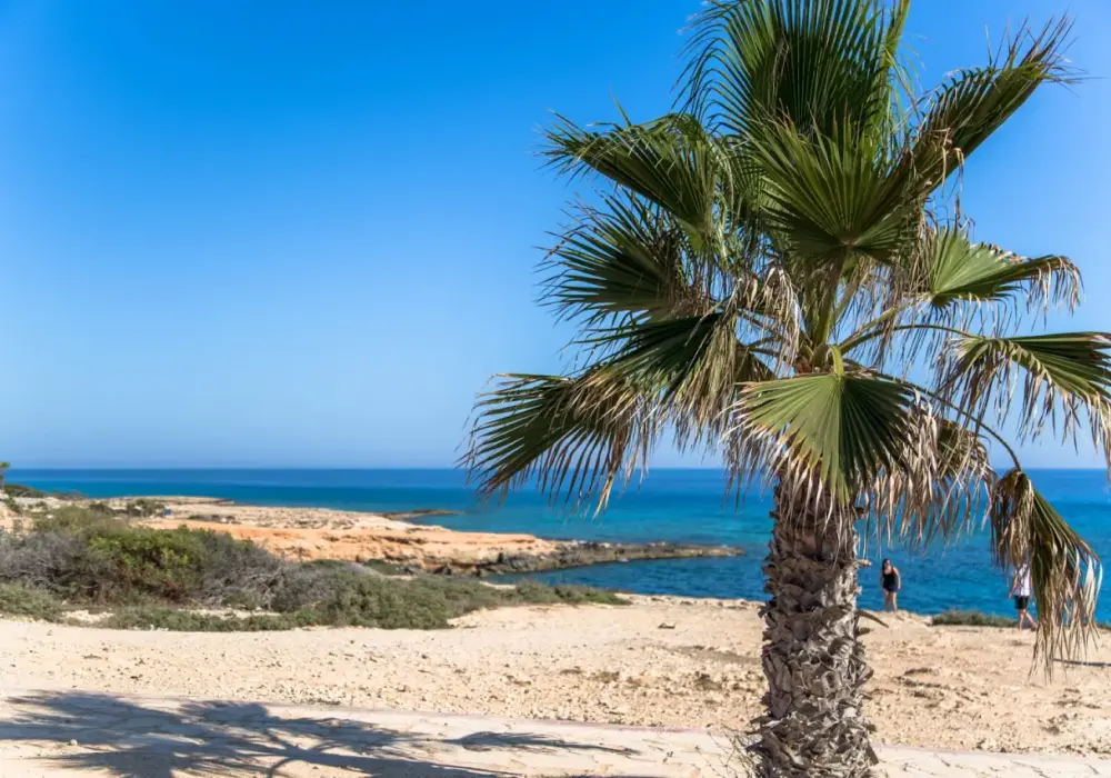 Ayia Napa: Raj dla turystów - Plaże, atrakcje i nocne życie