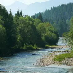 Ciekawe atrakcje w Czarnym Dunajcu, które musisz zobaczyć