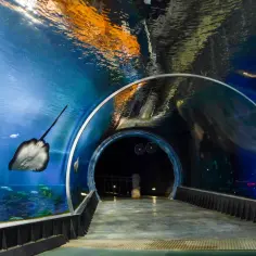 Atrakcje w zoo Wrocław – co warto zobaczyć i ile to kosztuje