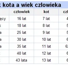 Jak liczyć wiek dziecka w hotelu i uniknąć nieprzyjemnych niespodzianek