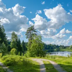 Kaszubskie wieże widokowe: podziwiaj naturalne piękno z wysoka