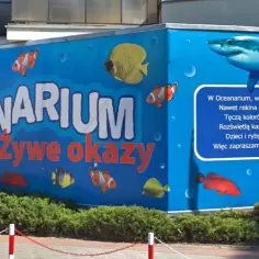 Ile kosztuje bilet do oceanarium w Kołobrzegu? Ceny i zniżki