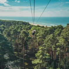 Park Linowy Stegna: adrenalina i przygoda wśród nadmorskich lasów