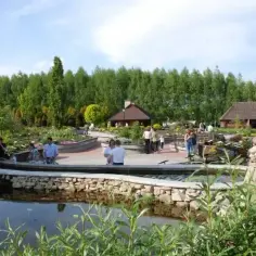 Najlepsze atrakcje dla dzieci na Podkarpaciu: 10 miejsc dla rodzin