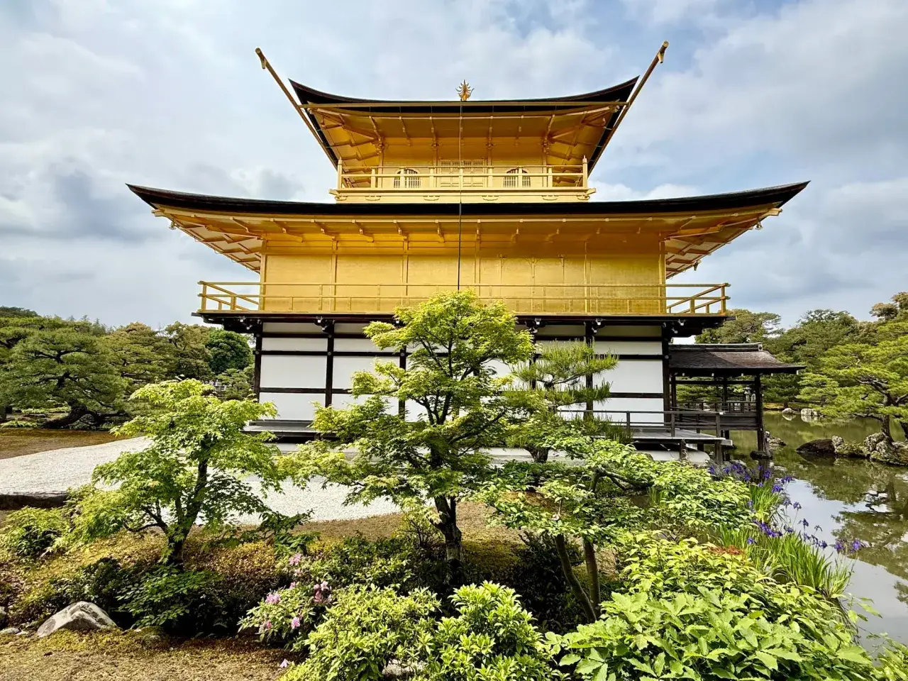 Złota japońska świątynia Kinkaku-ji lśni w słońcu, otoczona zielenią i spokojnym stawem.