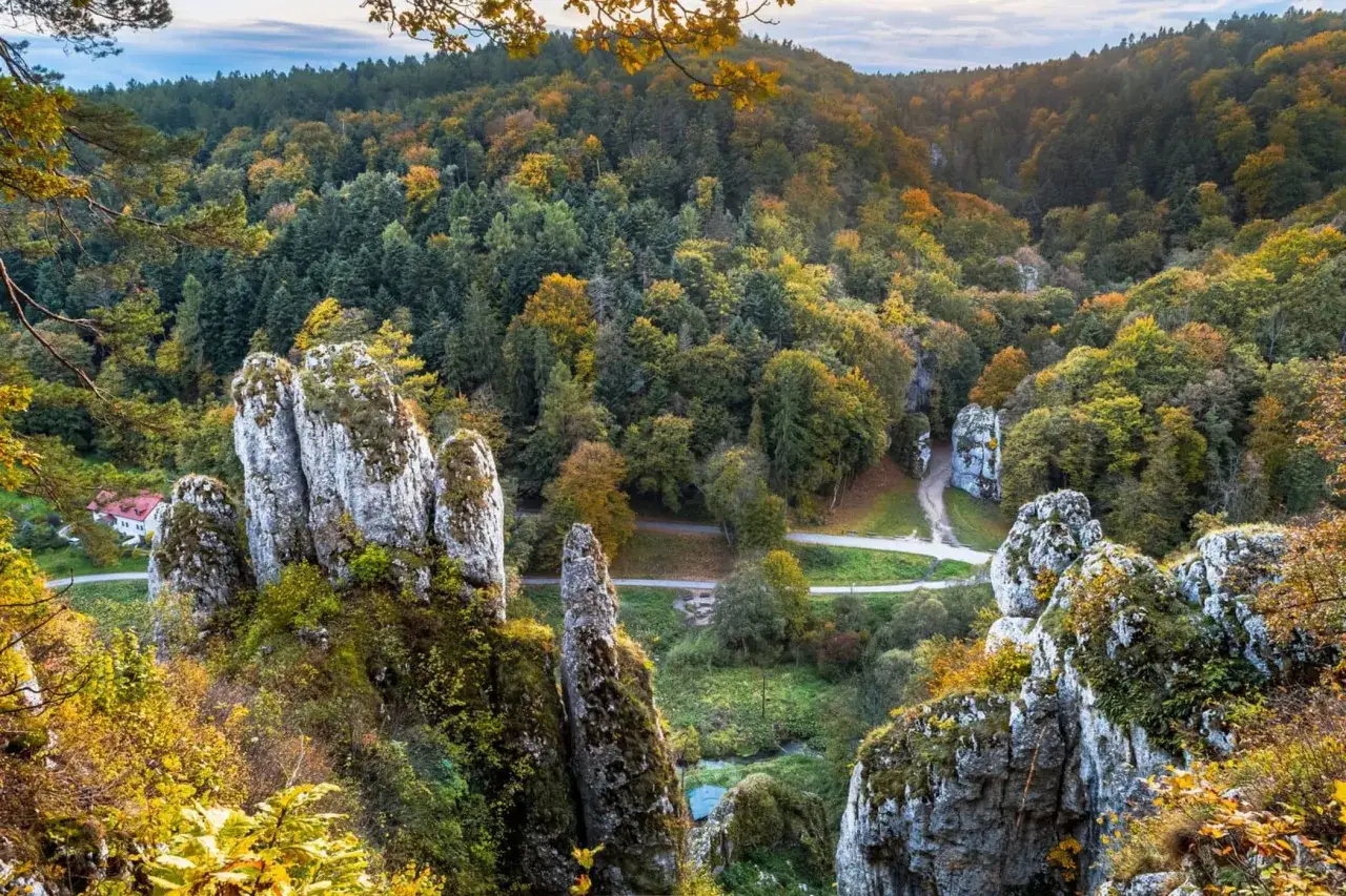 Ojcowski Park Narodowy w jesiennej odsłonie. Wapienne skały, bujna zieleń i kolorowe liście tworzą malowniczy krajobraz. Ciekawostki przyrodnicze czekają na odkrycie.