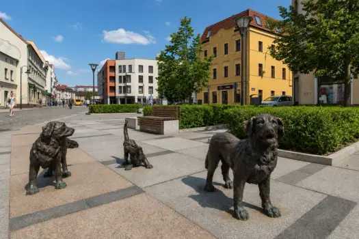 Rynek Psiego Pola we Wrocławiu - co warto zobaczyć?