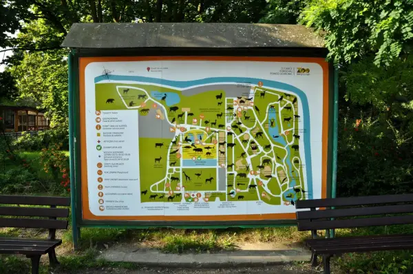 Ile czasu na Zoo Wrocław? Plan zwiedzania i Afrykarium