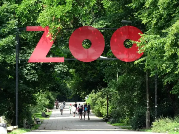 Największe zoo w Polsce? Gdańsk czy Wrocław - Wybierz mądrze!
