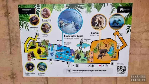 ZOO Łódź - Ile czasu na zwiedzanie? Plan wizyty!